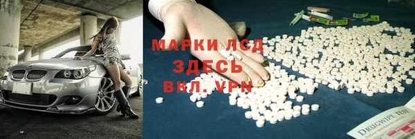 мяу мяу мука Аркадак